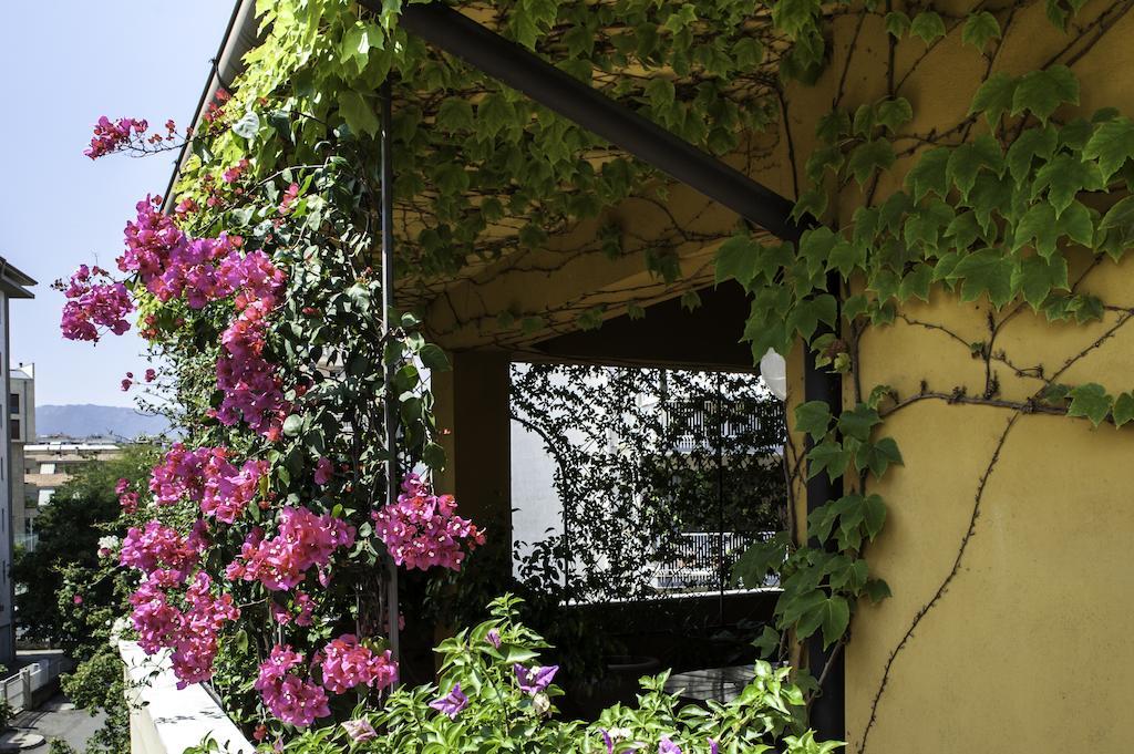 B&B Tribunale Cosenza Zewnętrze zdjęcie